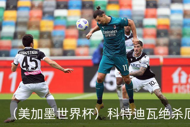 （美加墨世界杯）科特迪瓦绝杀厄瓜多尔 瑞典5:1大胜突尼斯